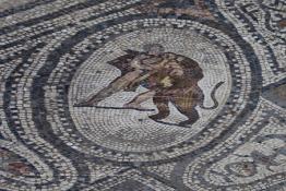 Image du Maroc Professionnelle de  Une mosaïque représentant une scène de la mythologie grecque dans les ruines de Volubilis,  l'un des sites les mieux préservés au Maroc et le plus visité. Il se situe à proximité de Moulay Idriss Zerhoun à une trentaine de km au nord-ouest de Meknès, photo prise le jeudi 8 Mars 2012. Volubilis ville antique berbère Walili (Lauriers rose) qui date du 3e siècle avant J.-C. capitale du royaume de Maurétanie fondé comme seconde capital sous le règne de Juba II. (Photo / Abdeljalil Bounhar)
